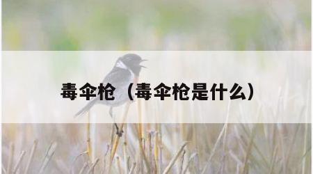 毒伞枪（毒伞枪是什么）