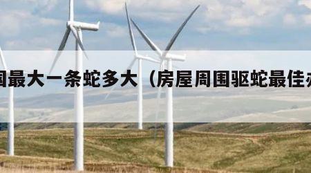 中国最大一条蛇多大（房屋周围驱蛇最佳办法）
