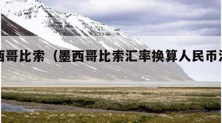 墨西哥比索（墨西哥比索汇率换算人民币汇率）