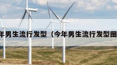 今年男生流行发型（今年男生流行发型图片）