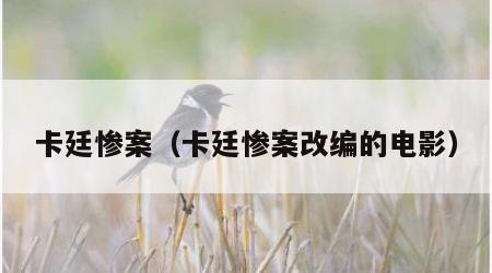 卡廷惨案（卡廷惨案改编的电影）