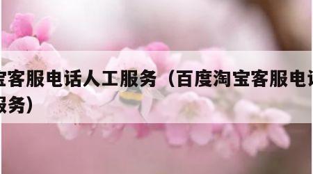 淘宝客服电话人工服务（百度淘宝客服电话人工服务）