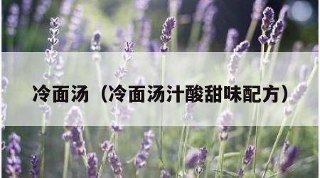 冷面汤（冷面汤汁酸甜味配方）