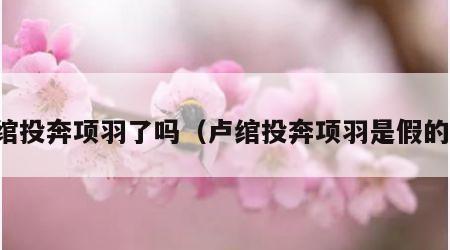 卢绾投奔项羽了吗（卢绾投奔项羽是假的么）