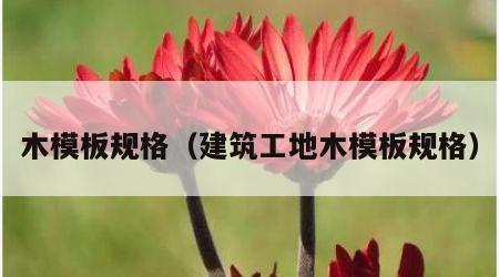 木模板规格（建筑工地木模板规格）