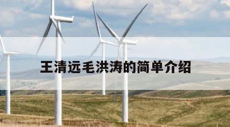 王清远毛洪涛的简单介绍