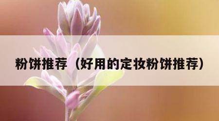 粉饼推荐（好用的定妆粉饼推荐）