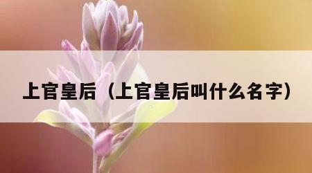 上官皇后（上官皇后叫什么名字）