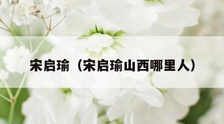 宋启瑜（宋启瑜山西哪里人）