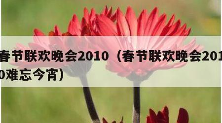 春节联欢晚会2010（春节联欢晚会2010难忘今宵）