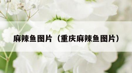 麻辣鱼图片（重庆麻辣鱼图片）