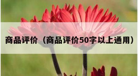 商品评价（商品评价50字以上通用）