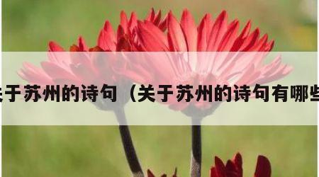关于苏州的诗句（关于苏州的诗句有哪些）