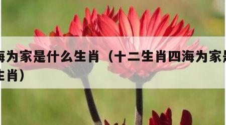 四海为家是什么生肖（十二生肖四海为家是什么生肖）