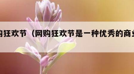 网购狂欢节（网购狂欢节是一种优秀的商业模式）
