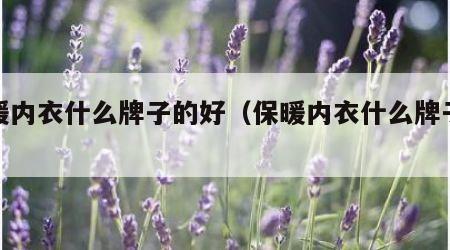 保暖内衣什么牌子的好（保暖内衣什么牌子好点）