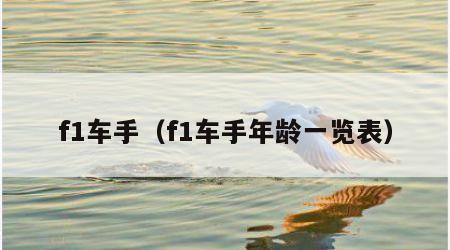 f1车手（f1车手年龄一览表）