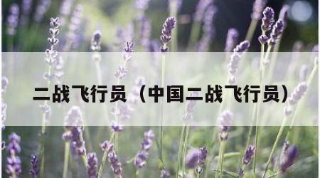 二战飞行员（中国二战飞行员）