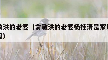 俞敏洪的老婆（俞敏洪的老婆杨桂清是家庭主妇吗）