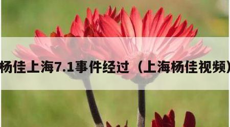 杨佳上海7.1事件经过（上海杨佳视频）