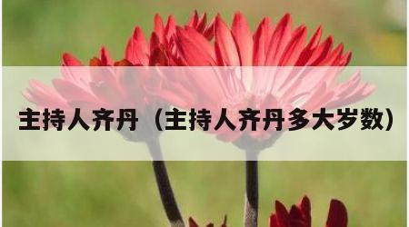 主持人齐丹（主持人齐丹多大岁数）