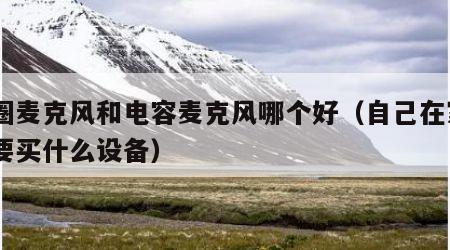 动圈麦克风和电容麦克风哪个好（自己在家k歌要买什么设备）