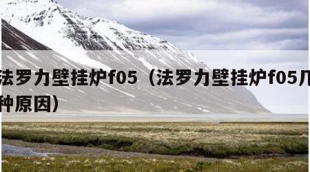 法罗力壁挂炉f05（法罗力壁挂炉f05几种原因）