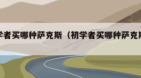 初学者买哪种萨克斯（初学者买哪种萨克斯合适）