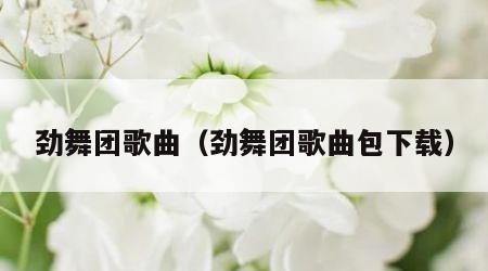 劲舞团歌曲（劲舞团歌曲包下载）