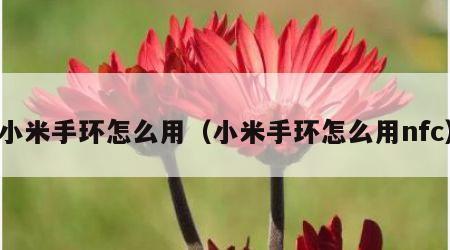 小米手环怎么用（小米手环怎么用nfc）
