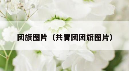 团旗图片（共青团团旗图片）