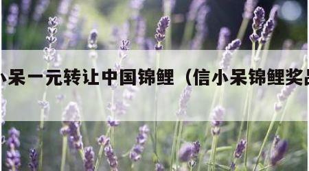 信小呆一元转让中国锦鲤（信小呆锦鲤奖品列表）