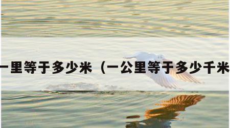 一里等于多少米（一公里等于多少千米）