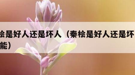 秦桧是好人还是坏人（秦桧是好人还是坏人? 才能）