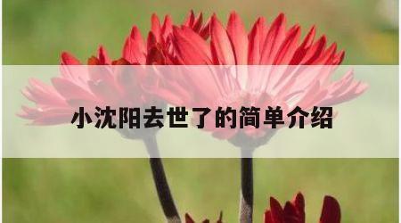 小沈阳去世了的简单介绍
