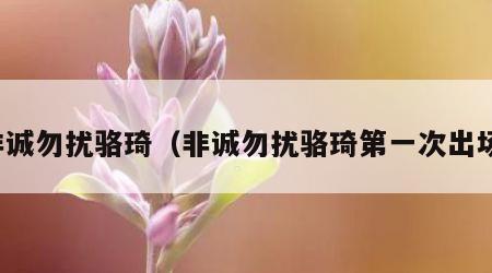 非诚勿扰骆琦（非诚勿扰骆琦第一次出场）