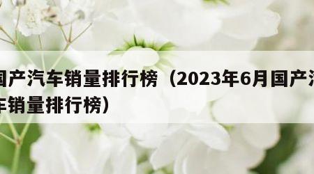 国产汽车销量排行榜（2023年6月国产汽车销量排行榜）