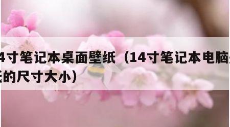 14寸笔记本桌面壁纸（14寸笔记本电脑壁纸的尺寸大小）