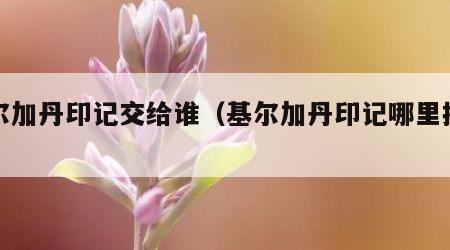 基尔加丹印记交给谁（基尔加丹印记哪里掉落）