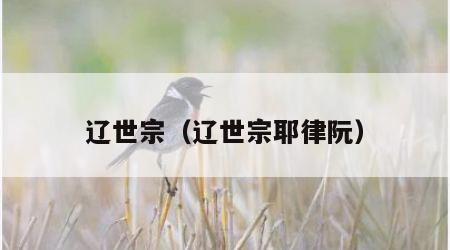 辽世宗（辽世宗耶律阮）