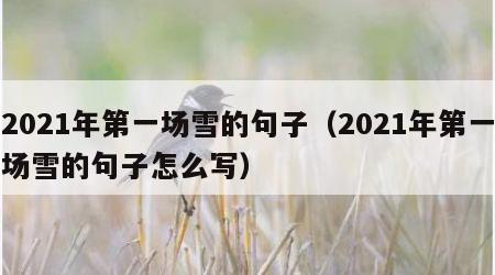 2021年第一场雪的句子（2021年第一场雪的句子怎么写）