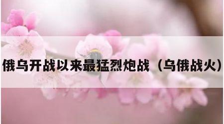 俄乌开战以来最猛烈炮战（乌俄战火）