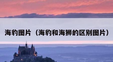 海豹图片（海豹和海狮的区别图片）