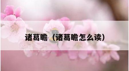 诸葛瞻（诸葛瞻怎么读）