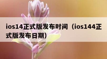 ios14正式版发布时间（ios144正式版发布日期）