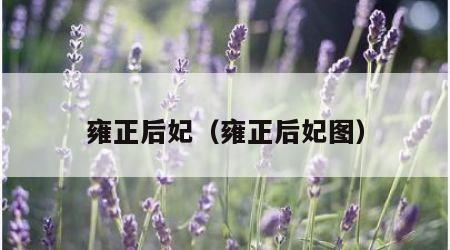 雍正后妃（雍正后妃图）