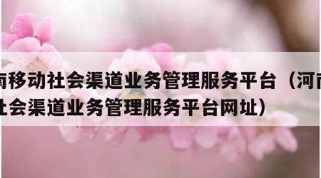 河南移动社会渠道业务管理服务平台（河南移动社会渠道业务管理服务平台网址）