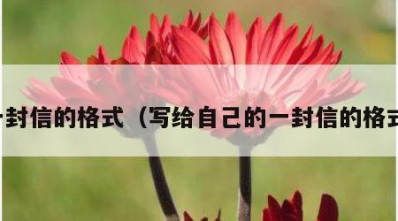 一封信的格式（写给自己的一封信的格式）