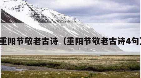 重阳节敬老古诗（重阳节敬老古诗4句）