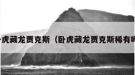 卧虎藏龙贾克斯（卧虎藏龙贾克斯稀有吗）